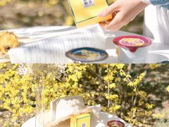 -山姆会员商店(亦庄创意生活广场店)