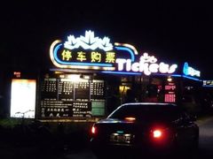 -枫花园汽车电影院(朝阳公园店)