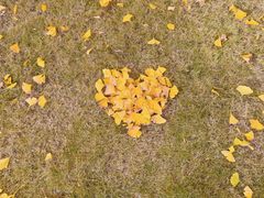 -西北湖绿化广场