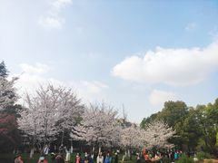 -堤角公园
