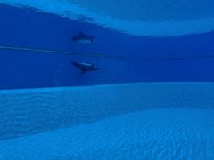 -横琴湾水世界