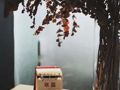 -猫里有甜