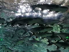 -波塞冬旅游度假区