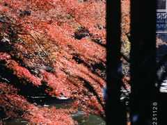 -郭庄景区