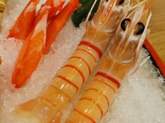 -伊豆野菜村(City店)