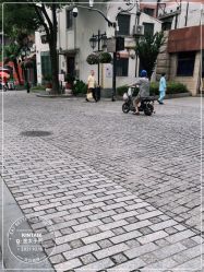 -金太子形象设计