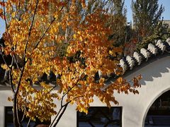 -吉林大学(前卫南区)