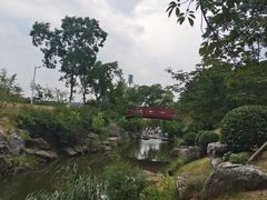 -羊山湖公园
