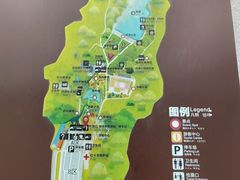 -西峡恐龙遗迹园
