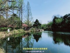 -国家植物园