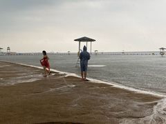 -碧海金沙