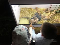 -昆明大悦城未来动物城(螺蛳湾中心店)