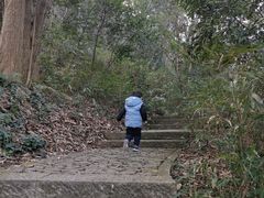 -西湖风景区-江洋畈生态公园