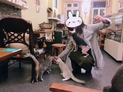 -猫色咖啡·猫咖