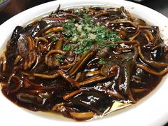 -启东8号海鲜(五角场店)