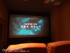 -华美国际影城(旧宫永辉店)