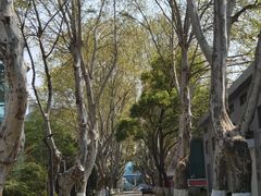 -南京航空航天大学(明故宫校区)