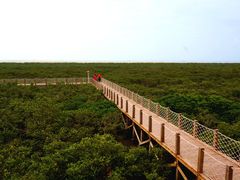 -北海金海湾红树林生态旅游区