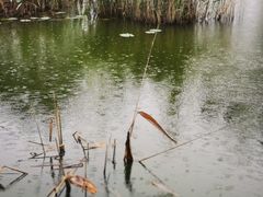 -武汉世外桃源农庄