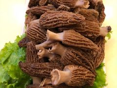 -野菌皇海景野生菌火锅(滨海大道店)
