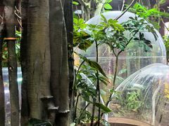 -帕帕拉兹宠物(亚洲旗舰店)