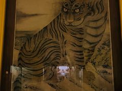 -美国自然历史博物馆