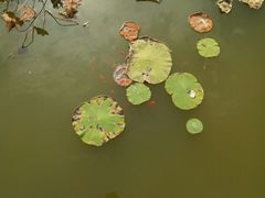 -望湘园·洞庭渔宴(永旺店)