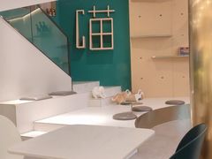 -飞行喵MR PILOT|猫舍·猫咖(静安大融城店)