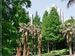 -苏州河梦清园环保主题公园