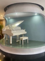 -比华利美容医院