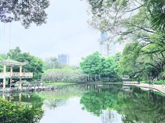 -晓港公园