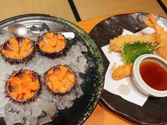 -月龍吟(朝龙汇店)