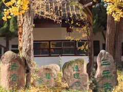 -苏州文庙(姑苏区)