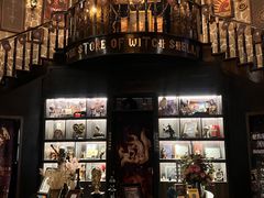-雪灵魔法世界SHELLY’S TAROT(大良桂畔里店)