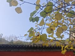 -窦大夫祠