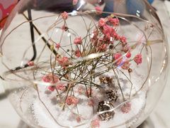 -哈根达斯(龙湖时代天街店)