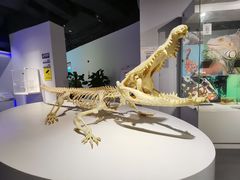 -生命奥秘博物馆