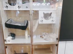 -老炮儿轰趴团建KTV桌游棋牌主题馆(五道口店（底商店))