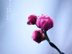 -尚贤河湿地