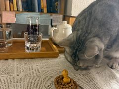 -隅cafe(傅厚岗店)