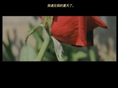 -麦当劳(鄂尔多斯机场店)