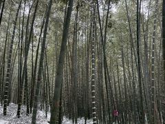 -紫金山天文台