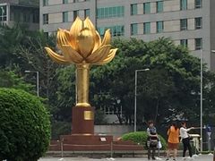 -金莲花广场