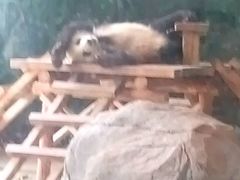 -临沂动植物园