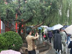 -华清宫-观风楼