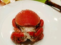 -北上海大酒店-北鸥西餐厅