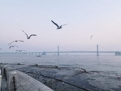 -星海广场