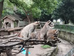 -宁波野生动物园