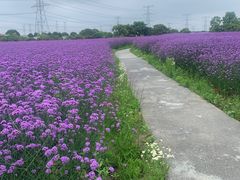 -上海杨姆庄园