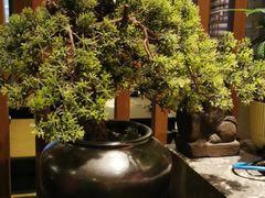 -湊湊火锅·茶憩(和平大悦城店)